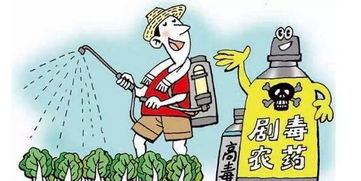 6月起哪些新規將影響你的生活？景泰人必看的法律要點解析